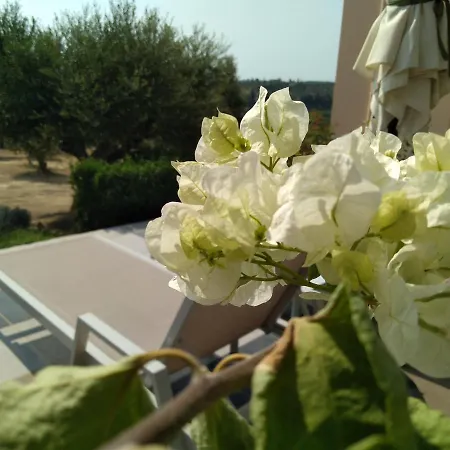 Vigla The Peaceful Secret فندق